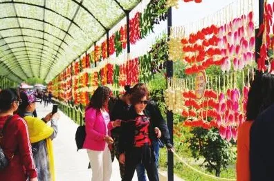 2025版本更新深度追踪»农场小镇地图扩展评测实测数据曝光