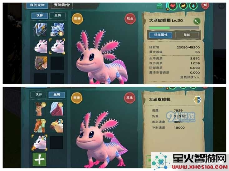 创造与魔法中大顽皮蝾螈的最佳资质排名与特点分析