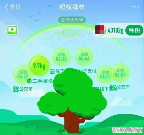 2025全球首发现场»蚂蚁森林独占内容解析全解析，硬件兼容报告