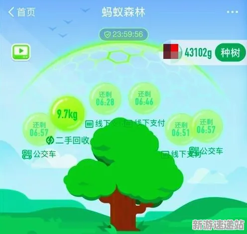 2025全球首秀：全面解析蚂蚁森林跨平台联机功能及实测数据公开