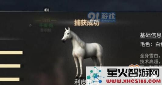 明日之后玩家如何处理马匹逃跑的情况?了解哪些因素会导致马匹逃跑