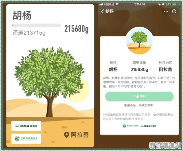 2025版本更新»蚂蚁森林丨新角色解析，性能对比评测