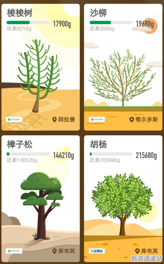 2025版本更新»蚂蚁森林丨新角色解析，性能对比评测
