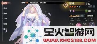 三国志幻想大陆2枭之歌丁夏阵容最佳搭配攻略与推荐