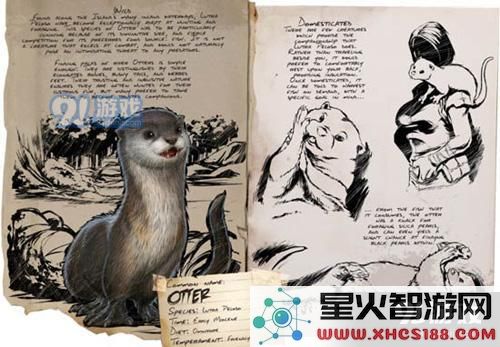 在方舟生存进化中如何有效捕捉水獺？以及水獺的具体出现地点介绍