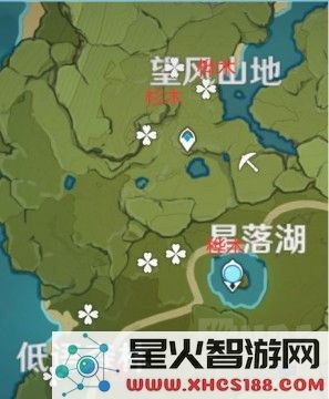 原神中松木在哪里