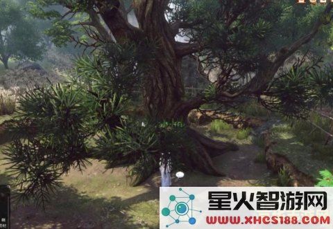 原神树上掉落的松果