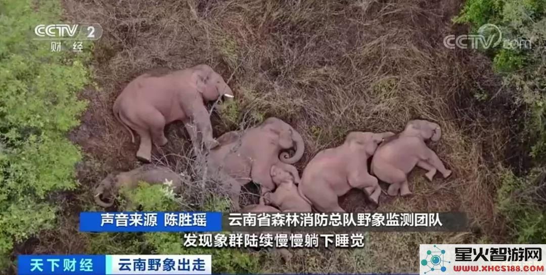 原神群玉阁内的大师级对话及其背后的故事解析