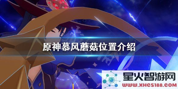 原神去哪里找慕风蘑菇