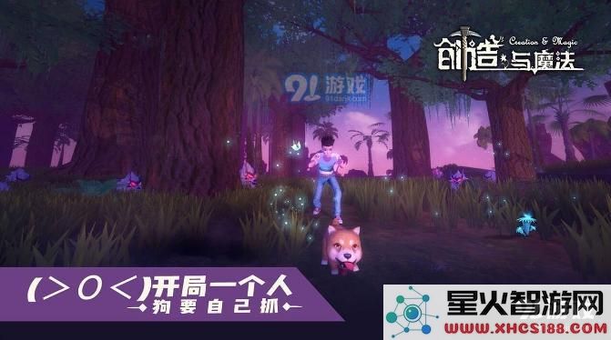 创造与魔法永夜丘陵附魔石位置介绍