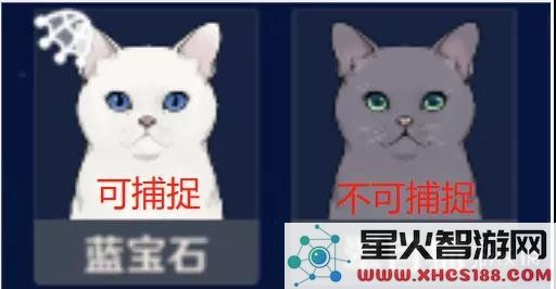原神角色代表的动物