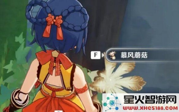 原神慕风蘑菇在哪里出现
