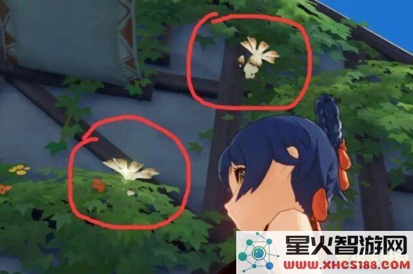 原神慕风蘑菇的具体出现位置以及采集方法介绍