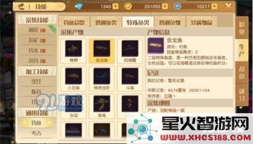 如何在梦想新大陆中获得金龙鱼的详细攻略和技巧分享