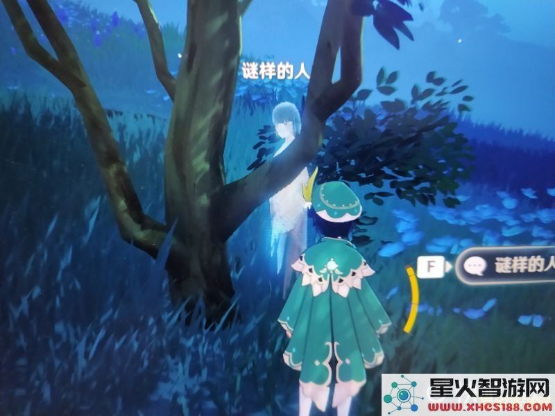 原神留念镜结节