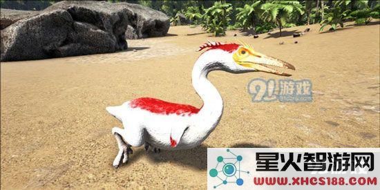 方舟生存进化中的黄昏鸟位置攻略及其驯服技巧解析