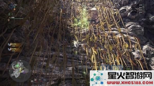 怪物猎人世界