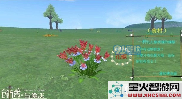 创造与魔法中花椒的具体位置及其分布详情一览