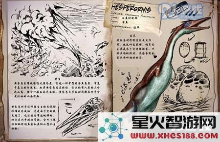 在方舟生存进化中,黄昏鸟的金蛋是如何获得的?黄昏鸟的金蛋究竟有什么特别的用途呢?
