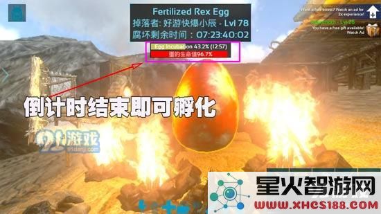 方舟生存进化手机版怎么孵蛋 方舟生存进化正确孵蛋方法解析