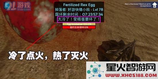 方舟生存进化手机版怎么孵蛋 方舟生存进化正确孵蛋方法解析