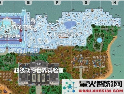 探索小动物之星的资源分布位置及获取方式,不容错过的重要细节