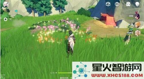 原神玩家如何与好友一起联机合作进行游戏，有哪些步骤和技巧要掌握