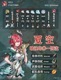 如何全面提升鸣潮夏空的能力与潜力,打造最强角色发展策略