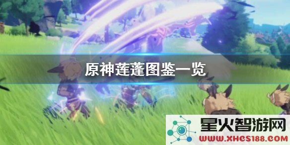 原神莲蓬获取