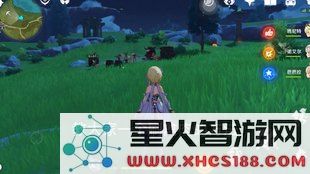 原神获取禽肉的高效技巧与实用攻略分享