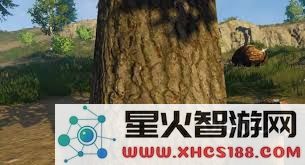 在失控进化过程中,优先应当采集哪些重要资源以确保生存和发展