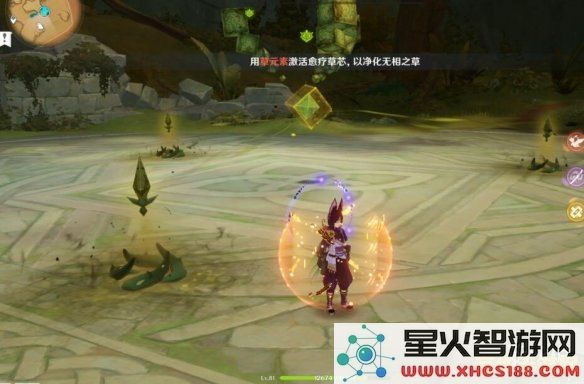 请问在《原神》中无相之草具体的出现地点在哪里可以找到?