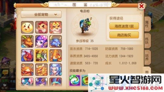 梦幻西游中血宠龟丞相的养成技巧与培养方案详解