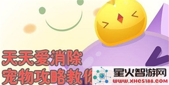 天天爱消除宠物选择指南 选择可爱萌宠的最佳技巧与珍惜之道