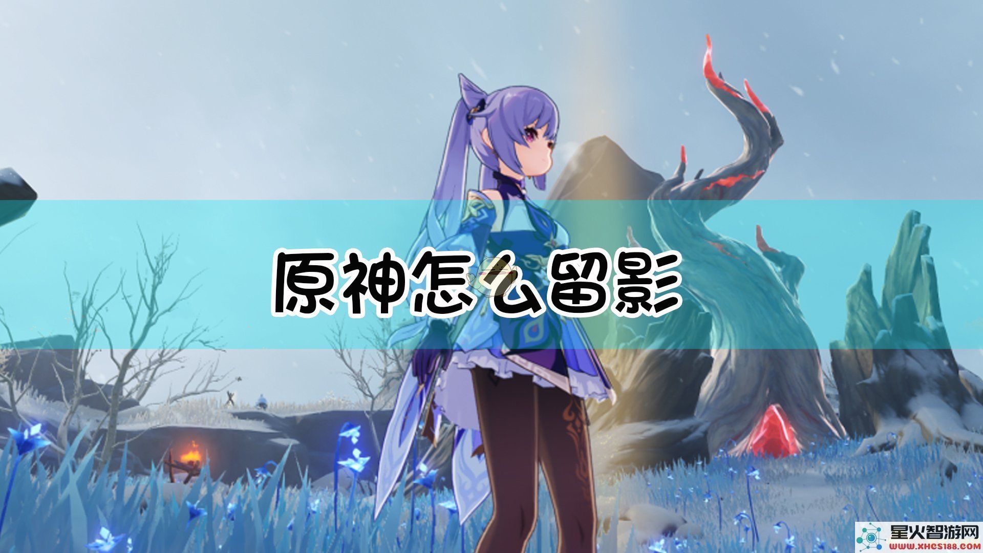 原神暂且留影