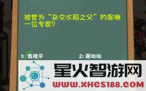爸爸的面馆经营技巧:如何用网红配方提升客流?