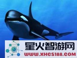 原神蛇骨矿洞鲸井小弟