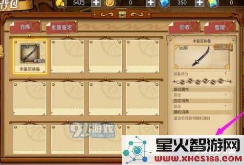航海王燃烧意志装备图片3