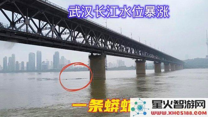 在原神游戏中修复桥梁到底需要按几次按钮才能完成任务？
