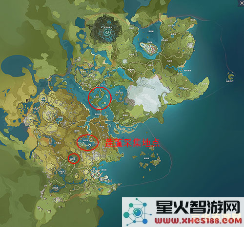 原神莲蓬多少钱