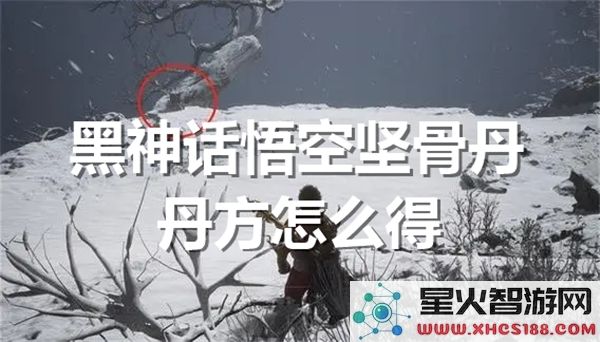 黑神话悟空坚骨丹获取攻略:2024最新丹方掉落途径解析