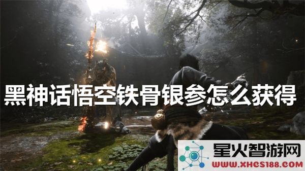 黑神话悟空铁骨银参获取攻略:2024最新掉落位置解析