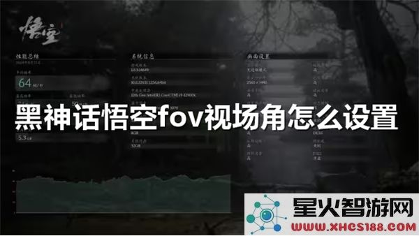 黑神话悟空FOV设置指南:如何调整视场角提升沉浸感