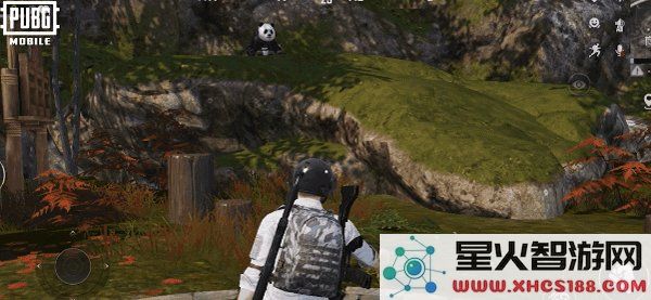 pubg四象修行玩法