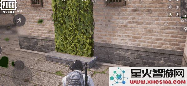 pubg四象修行玩法