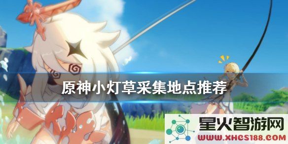 原神小灯草在哪刷