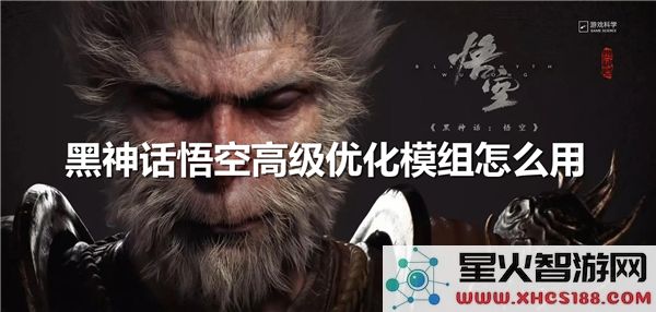 黑神话悟空优化模组:2024最新性能提升教程解析