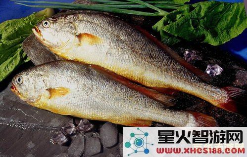 在原神中,钓鱼时选择哪种饵料最能吸引鱼类提高钓鱼成功率