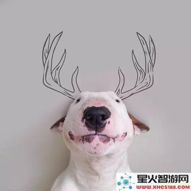 原神流血狗太恶心了