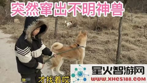 原神中的流血狗实在让人感到无比恶心,真希望能够改善这方面的设计